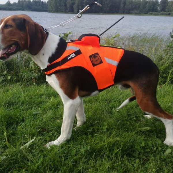 Kardog-Jehu Kardog-Jehu